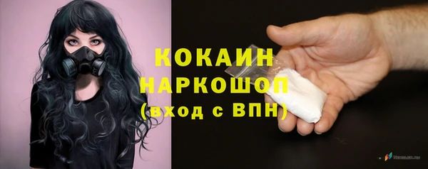 гидра Пестово