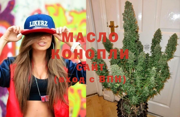 гидра Пестово