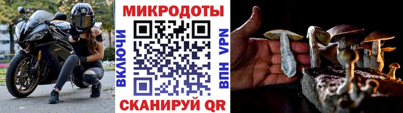 Галлюциногенные грибы GOLDEN TEACHER Заводоуковск