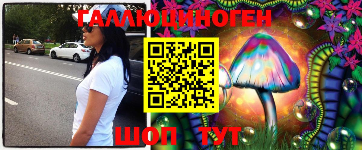 Галлюциногенные грибы Cubensis Заводоуковск