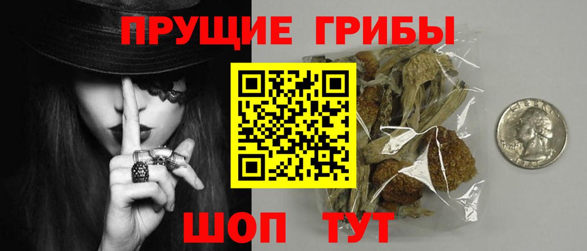 Галлюциногенные грибы Cubensis Заводоуковск