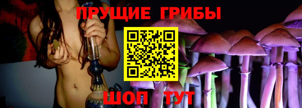 дарнет шоп  Галлюциногенные грибы MAGIC MUSHROOMS  Вход с VPN  Заводоуковск 